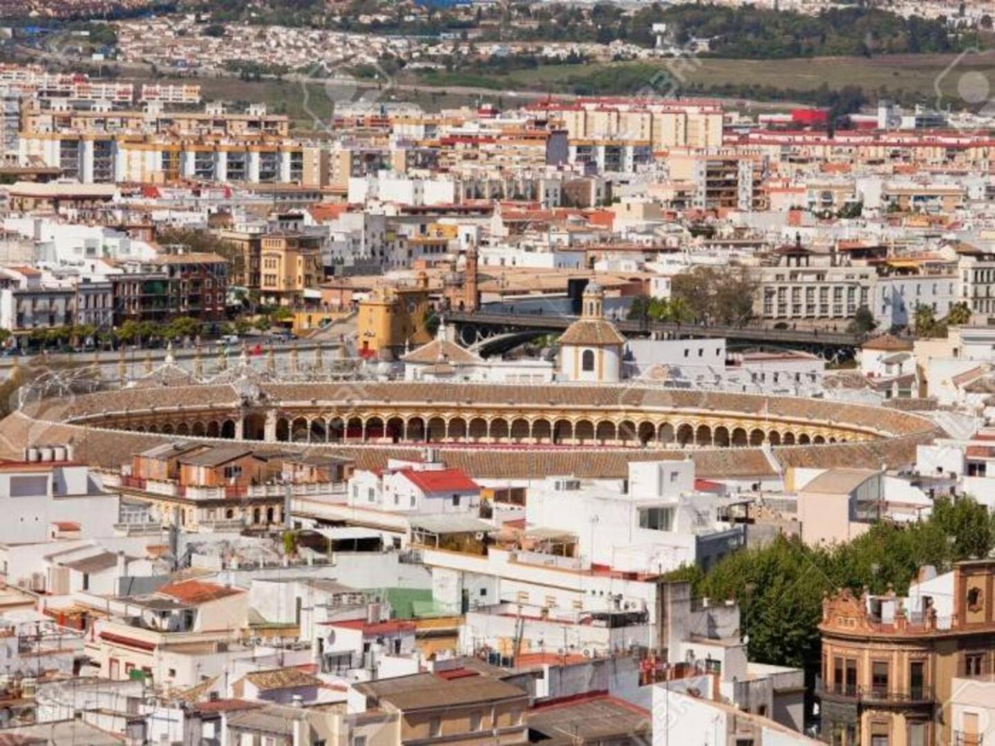 Pure Seville Elegance And Confort エクステリア 写真